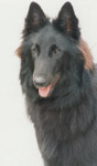 Kira