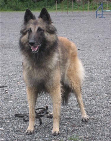 Thyra 10.07.2007.
